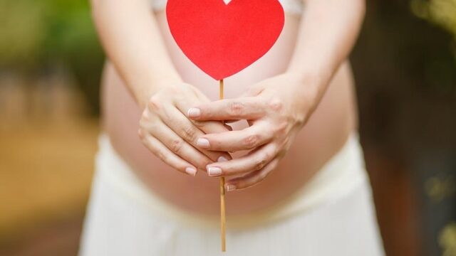 Een draagmoeder vinden via een databank: meerderheid is voor