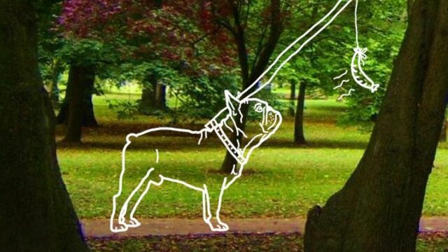 Deze week in de bonus...