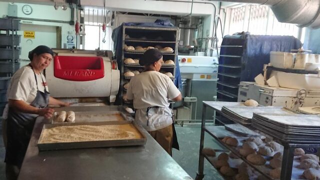 Heel Venezuela bakt... als er meel is