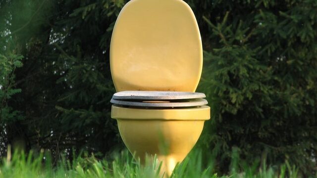 Genieten van vogelgeluiden op het toilet