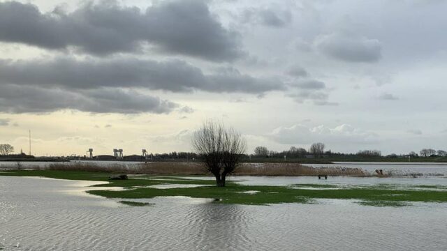 Waterkwaliteit in de Rijn achteruit, zuiveren gaat steeds moeilijker
