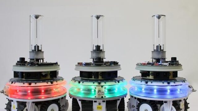 Bekijk hoe deze robots één superorganisme worden