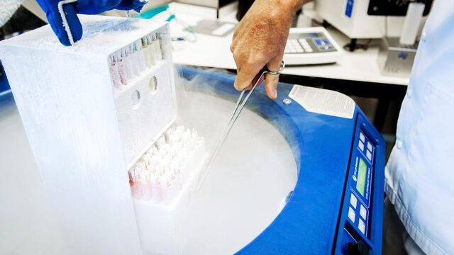 Meer mogelijkheden voor homoparen om eigen kindje te krijgen in Nederland