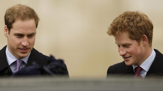 The Battle of the Brothers: 'Meghan heeft de zaak op de spits gedreven'