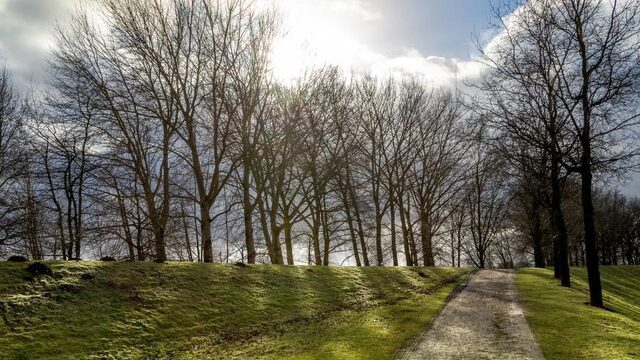 50.000 bomen geplant door boeren voor biodiversiteit