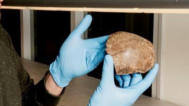 Voor prehistorische schatten moet je in de Noordzee zijn