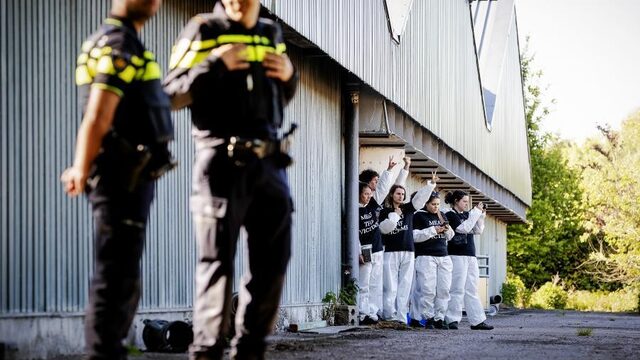 Grapperhaus: 76 arrestaties op varkensboerderij Boxtel