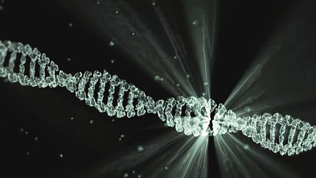 'Spook DNA' duidt op verdwenen mensensoort
