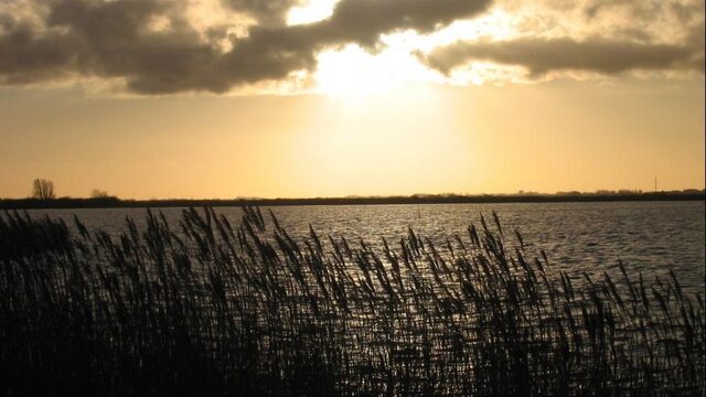 Rietproef in Lauwersmeer gaat ondanks verzet door