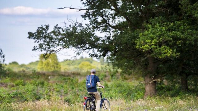 Kleine Natura 2000-gebieden: pareltjes of postzegels?