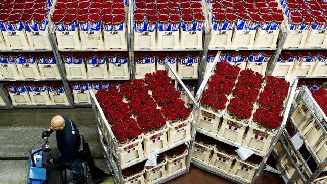 Podcast De Dag: de lovehacks van relatietherapeut Nynke Nijman en Mischa Blok