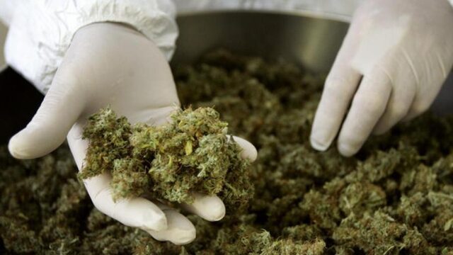 Gebruik je wietolie om lekker te kunnen slapen? Dan ben je volgens de Nederlandse wet een harddrugsgebruiker