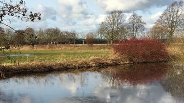 Dit zijn de mooiste natuuromschrijvingen uit de boeken van luisteraars