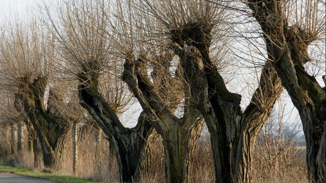 Een landschap herbergt verhalen