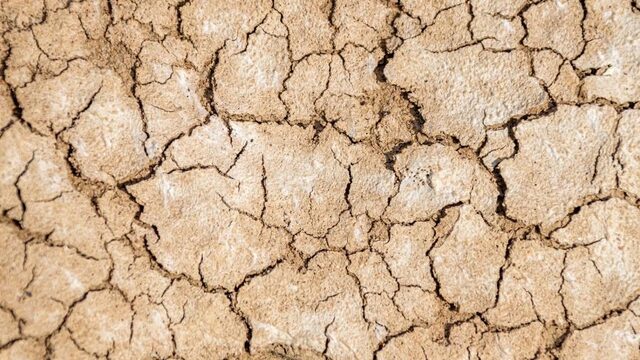 Europese droogtes waren in 2000 jaar niet zo ernstig