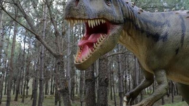 Dino's waren gewone beestjes en geen superkippen