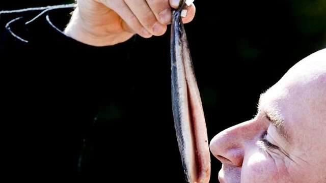 Haringseizoen van start zónder smaaktest van het AD