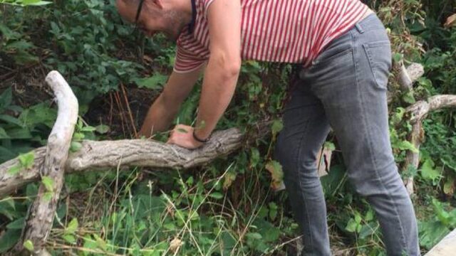 Gemeenten planten minibossen aan