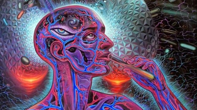 Ayahuasca wordt steeds populairder: wat doet het precies?