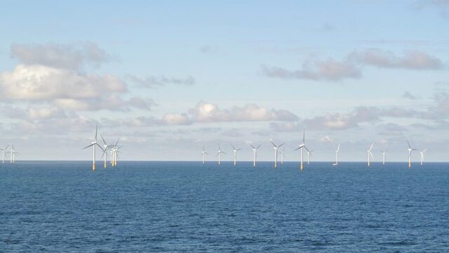 Ontwikkeling en herstel van onze prachtige Noordzee natuur