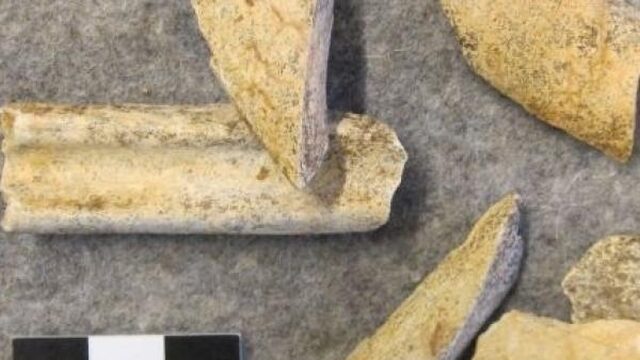 Oeroud eiwit verraadt neanderthaler