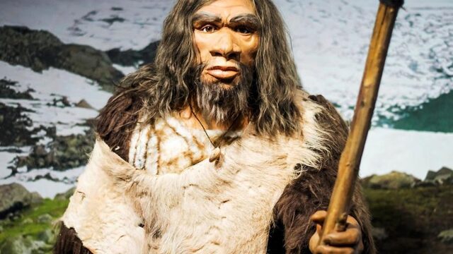 Deze onderzoeker laat de neanderthalers bij bosjes doodgaan