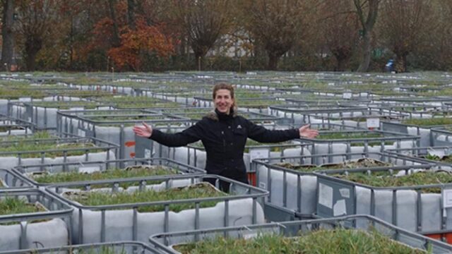 Biodiversiteit: waar draait het om in Egypte?