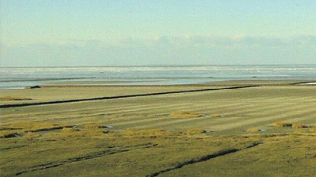 Kun je aan een tuin zien wie hem gemaakt heeft?