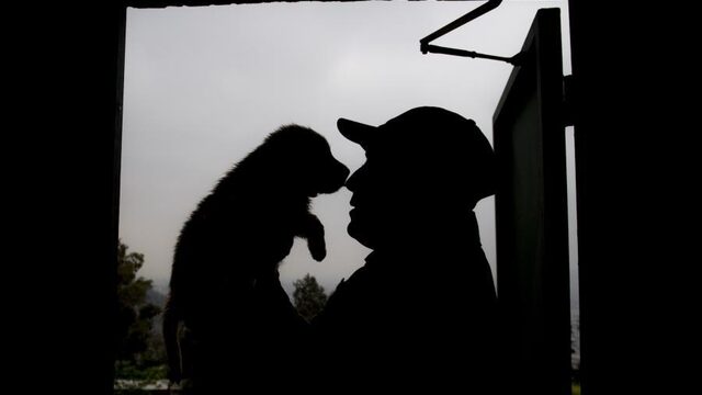 'Puppykamer op universiteit niet goed voor de dieren'