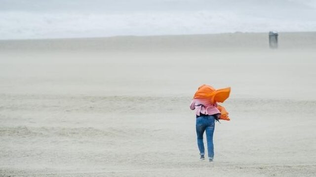 Zondag zware windstoten; oppassen op de weg en in het bos