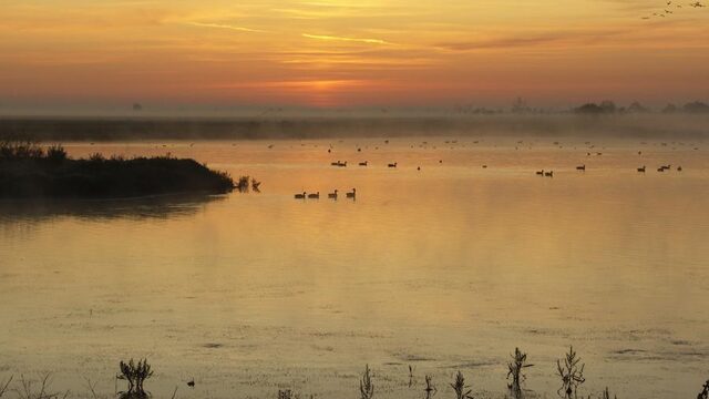 Het jaar 2021: Lelystad Airport is nooit geopend en A27 bij Utrecht is niet verbreed