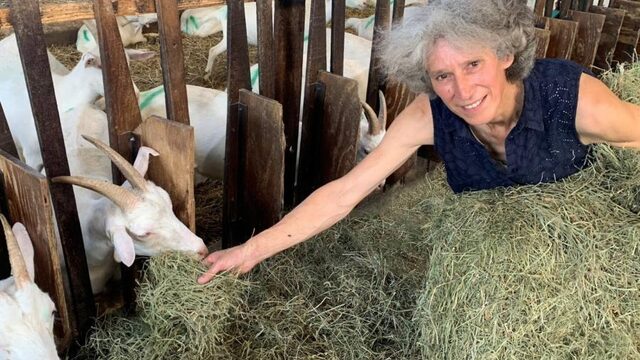 'Schaf btw op biologische producten af om verkoop te stimuleren'