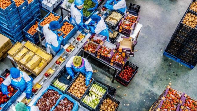 Exportrecord voor Nederlandse landbouw: vooral veel bloemen en vlees