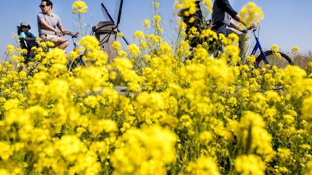 Waarom is Winsum het leukste dorp van Nederland?