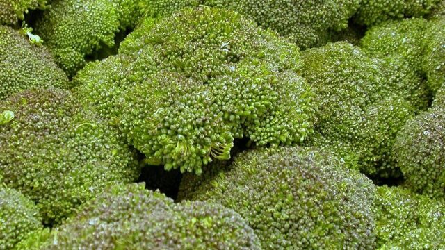 Geen patent op broccoli, verlies van Monsanto