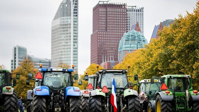 LTO: Stikstofcrisis niet op te lossen zonder nieuwe afspraken Brussel