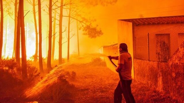 Bosbranden Portugal doven door regen, dodental opgelopen tot 35