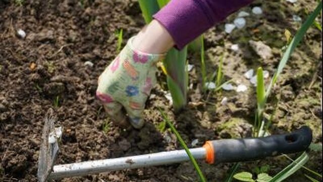 Lekker weer de tuin in: 13 tips om tuin lenteklaar te maken