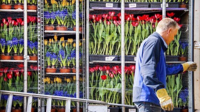 Stand.nl: Nederland moet niet langer de tweede landbouwexporteur van de wereld willen zijn