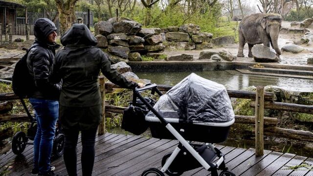Versoepelingen overmorgen gaan door, kabinet vindt cijfers goed genoeg