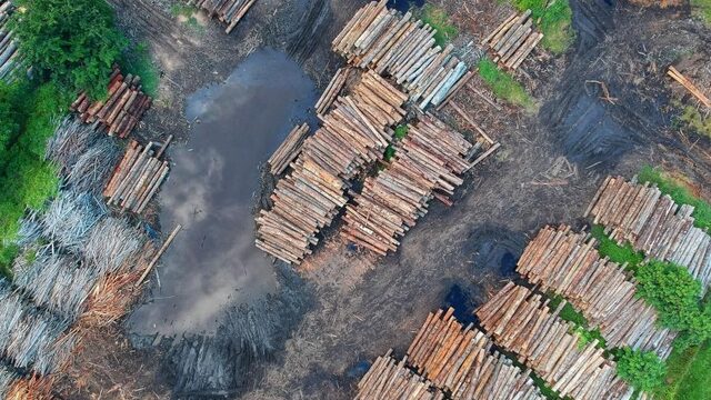 Oxfam: grootste voedingsmiddelenbedrijven verbeteren hun gedrag onvoldoende