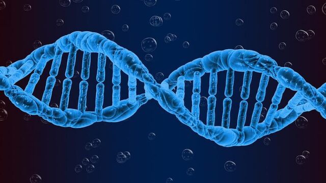 Voor het eerst waargenomen: het ontstaan van nieuwe genen