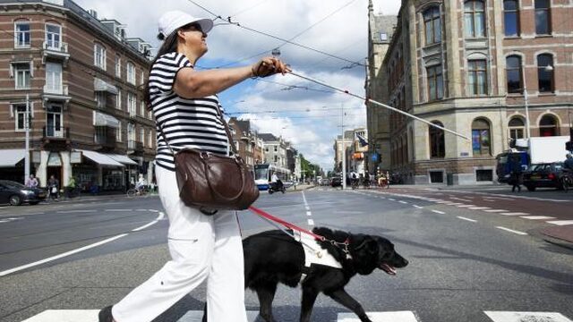Geleidehond en eigenaar niet welkom in hotel of moeten bijbetalen
