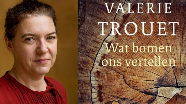 Natuurboek 'Wat bomen ons vertellen' wint de Jan Wolkers Prijs 2020