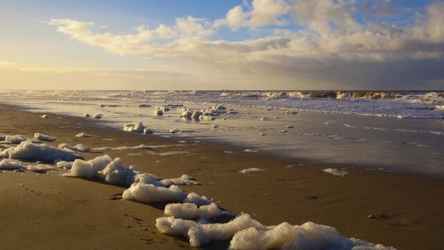 Strandlopen en verzamelen: het zit in ons bloed