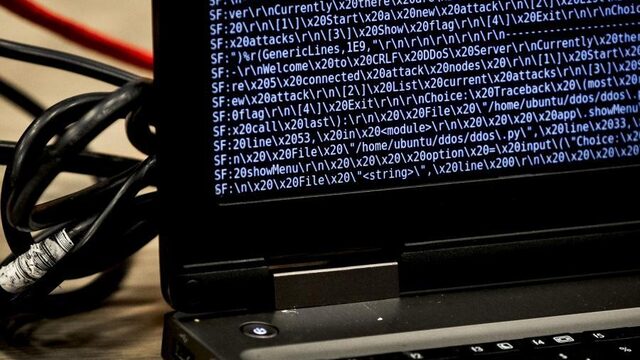 Hacker Erik gaf de hele school vrij en moest voor straf op stage