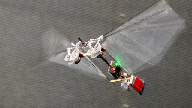 Deze mini-robot fladdert als een fruitvlieg