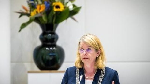 Burgemeester Krikke betreurt onduidelijkheid na steekincident