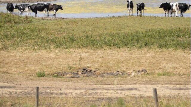 Marc Calon (LTO): ‘Per dag stoppen 6 boerenbedrijven’