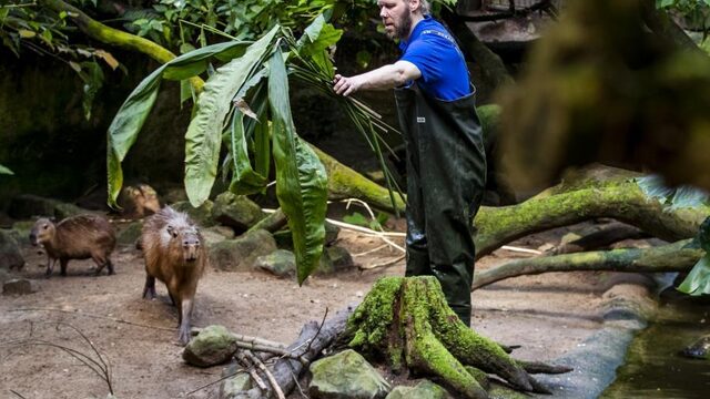 De dierentuin is meer dan aapjes kijken